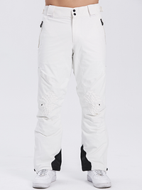 Alpine 2L Insluated Ski Pant Men