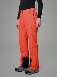 Apex 2L Insluated Ski Pant Men