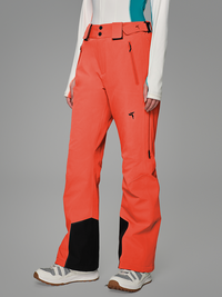 Apex 2L Insulated Ski Pant Women